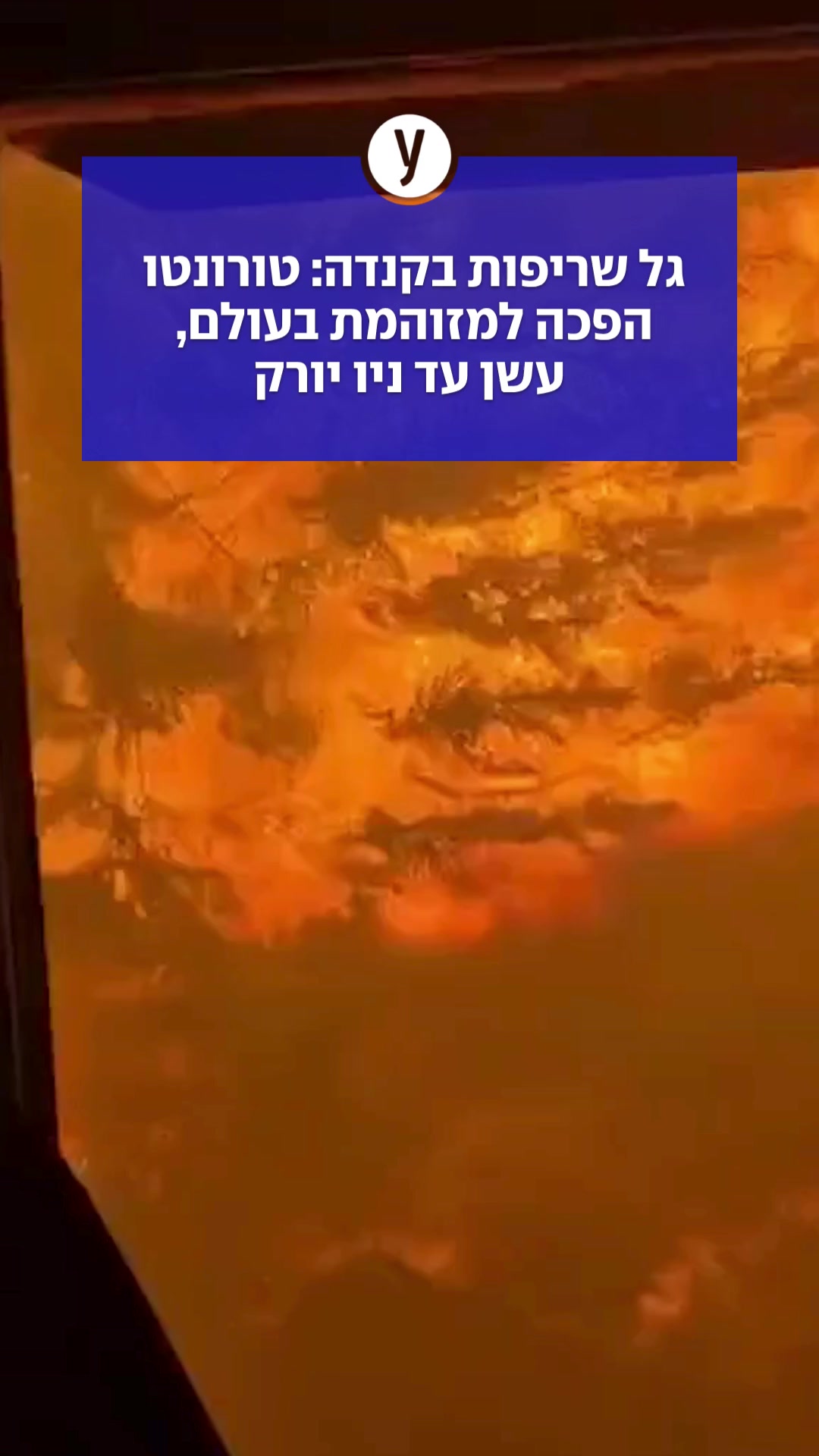 @ynet