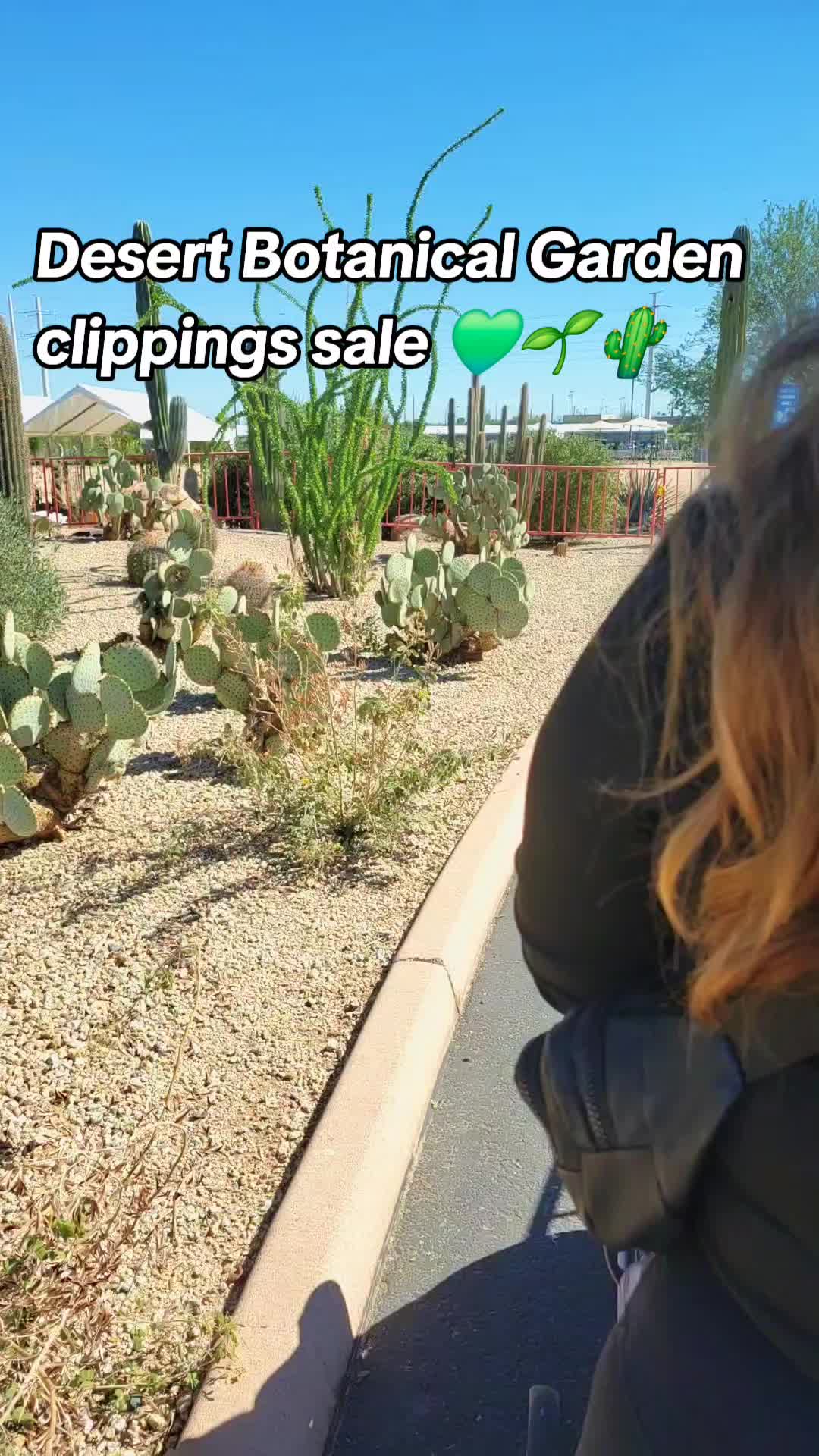 @cactifam