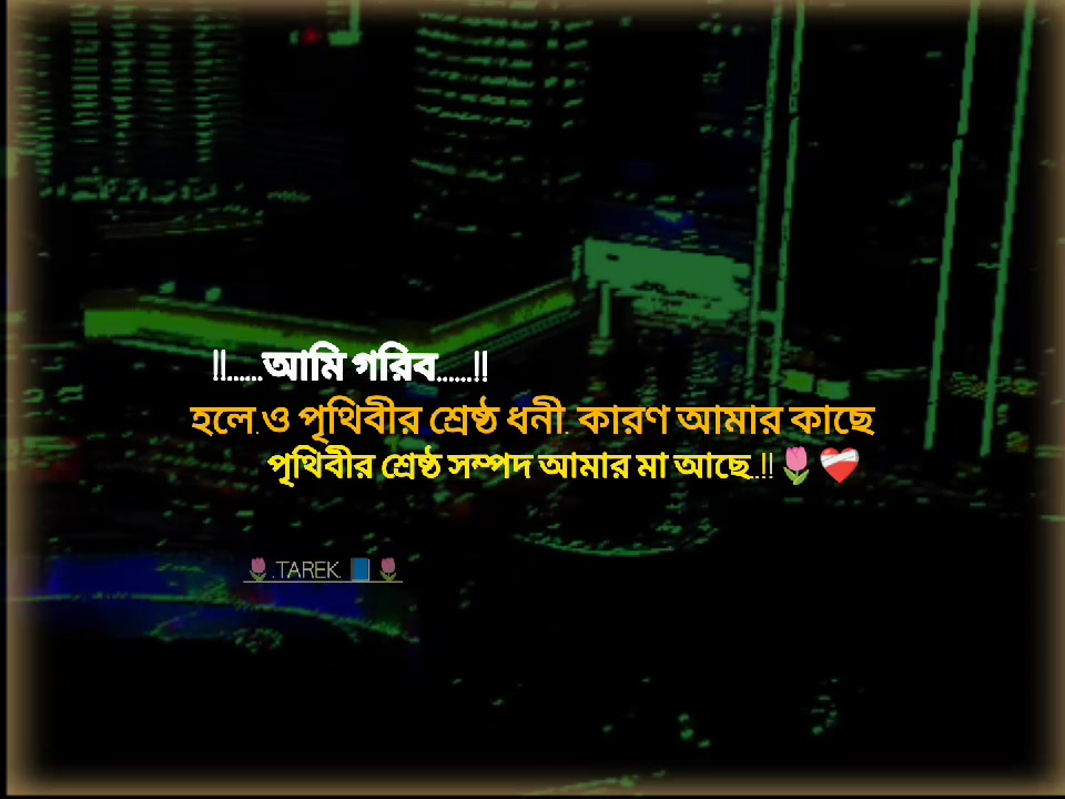 @✩࿐📘•̩̩͙(+)Tคrek**•̩̩͙🍒•̩̩✩᭄࿐