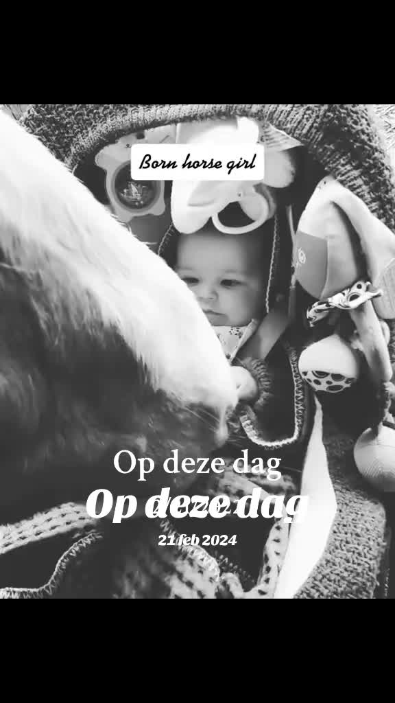 @🌻 ELLE 🌻