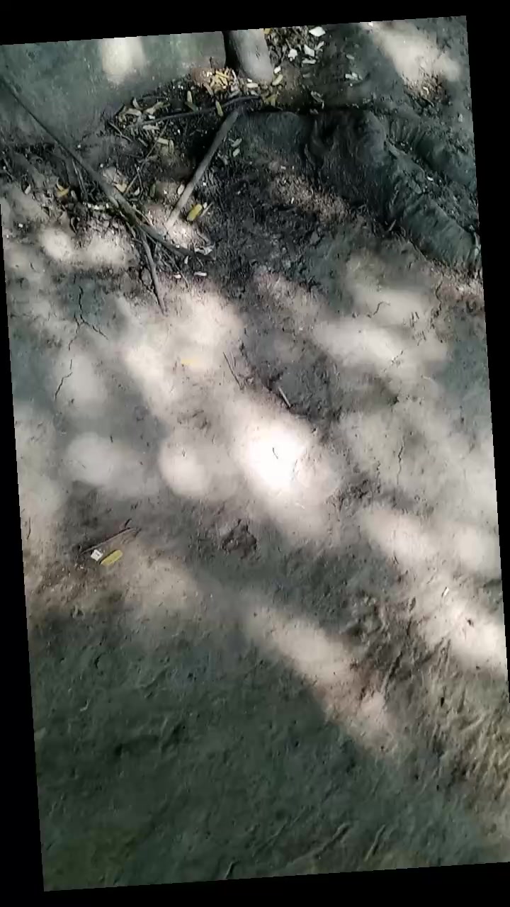 @Patrism.pro 256