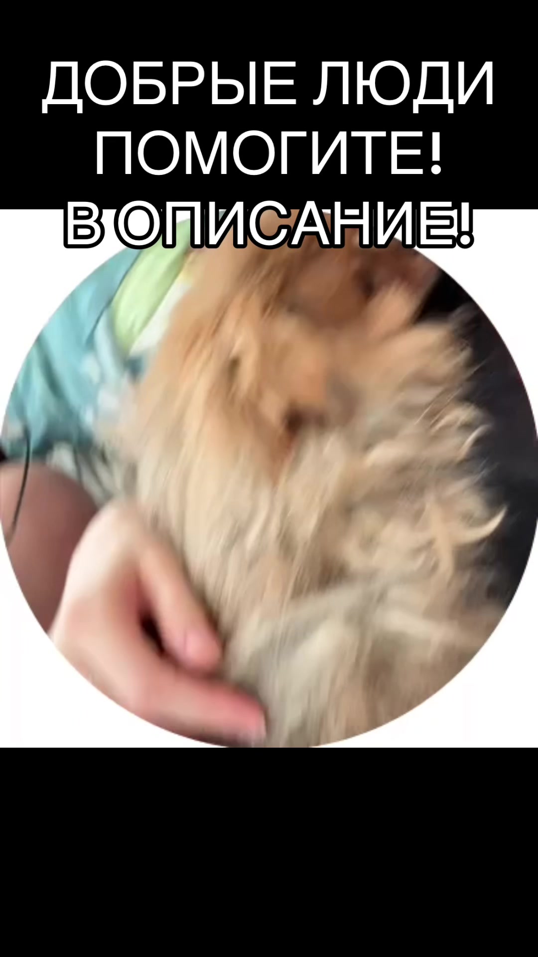 @Panterka