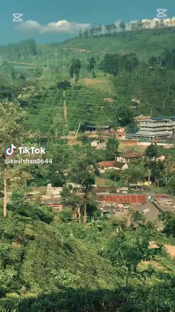 @vickneshvicknesh