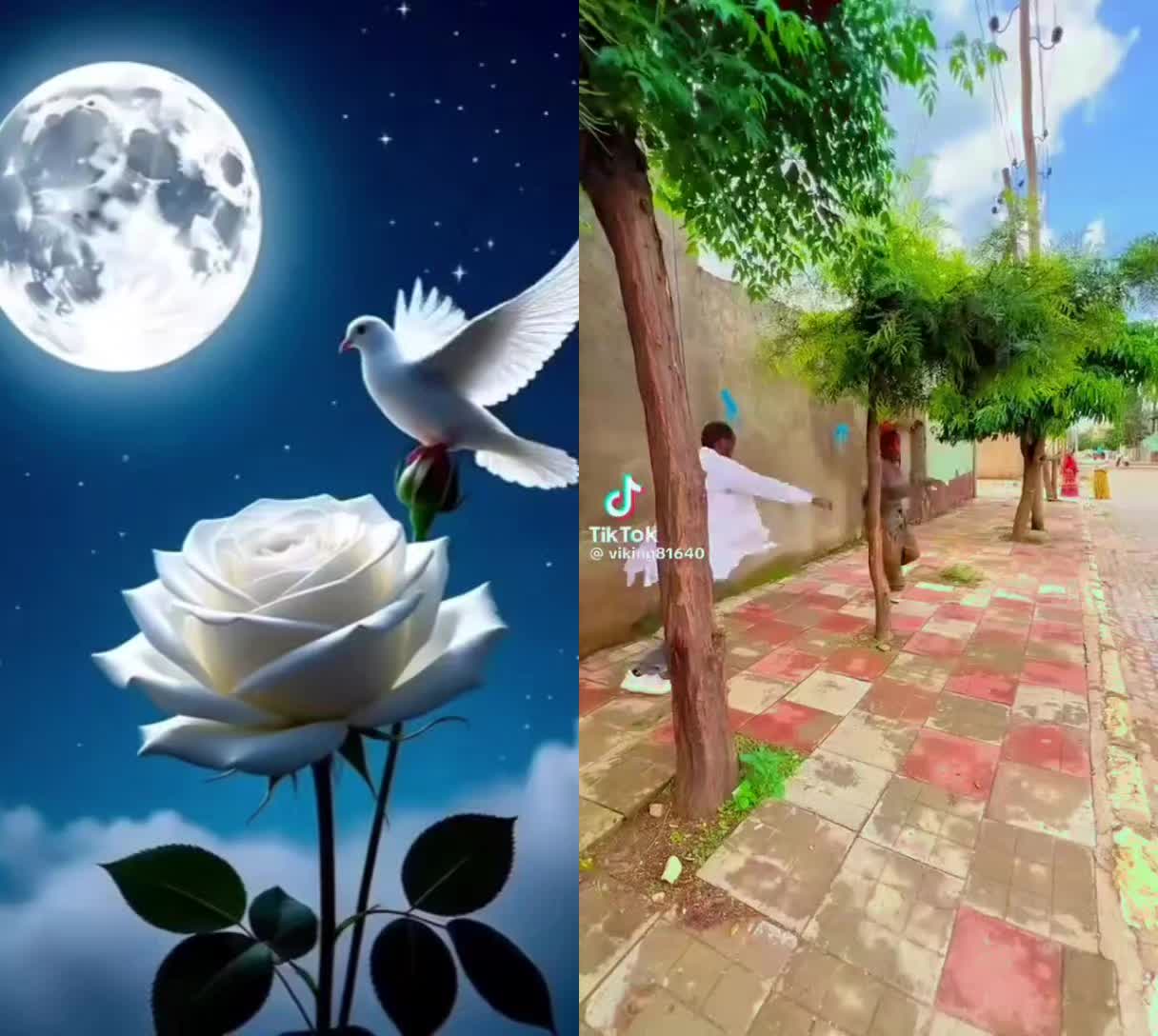 @guoykiflu