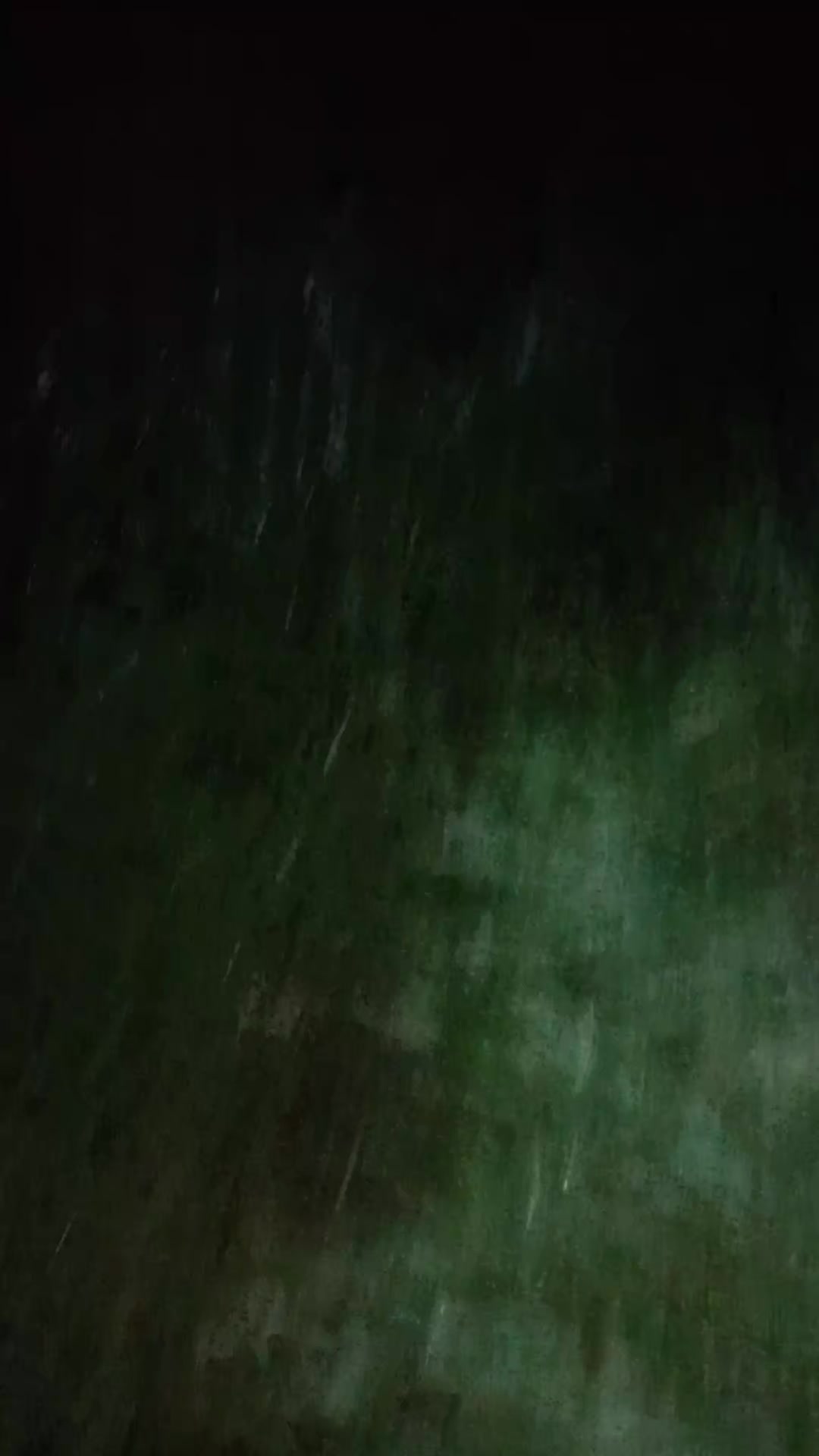 @Vanya_MK.🐊