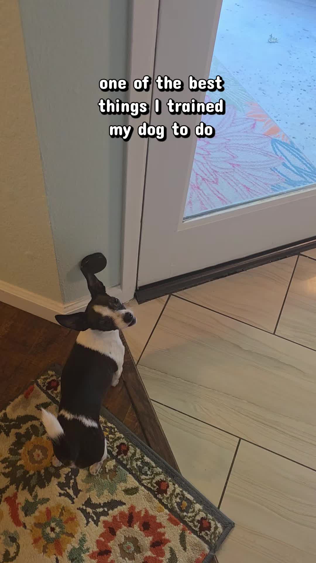 @𝕾𝖙𝖊𝖕𝖍𝖆𝖓𝖎𝖊