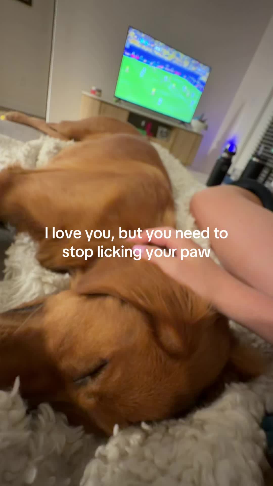 @Lauren