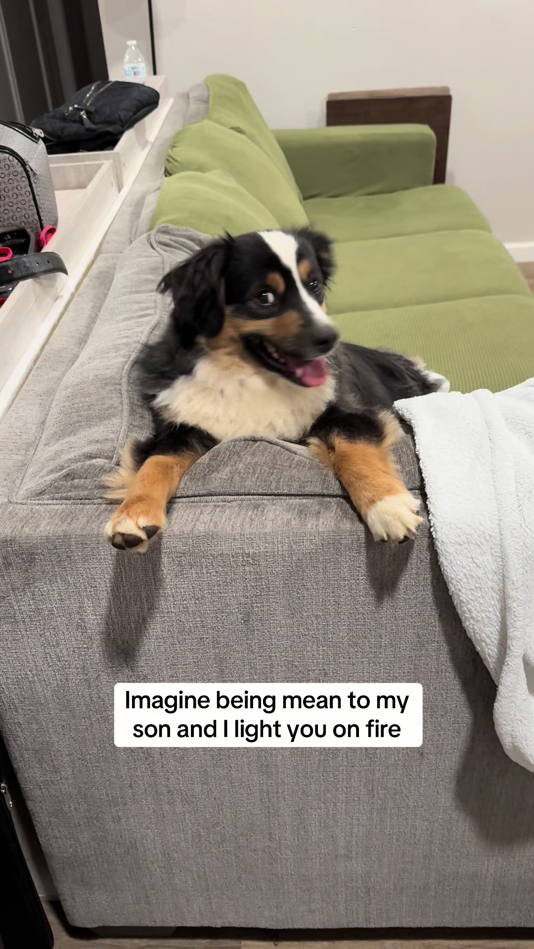 @Cari