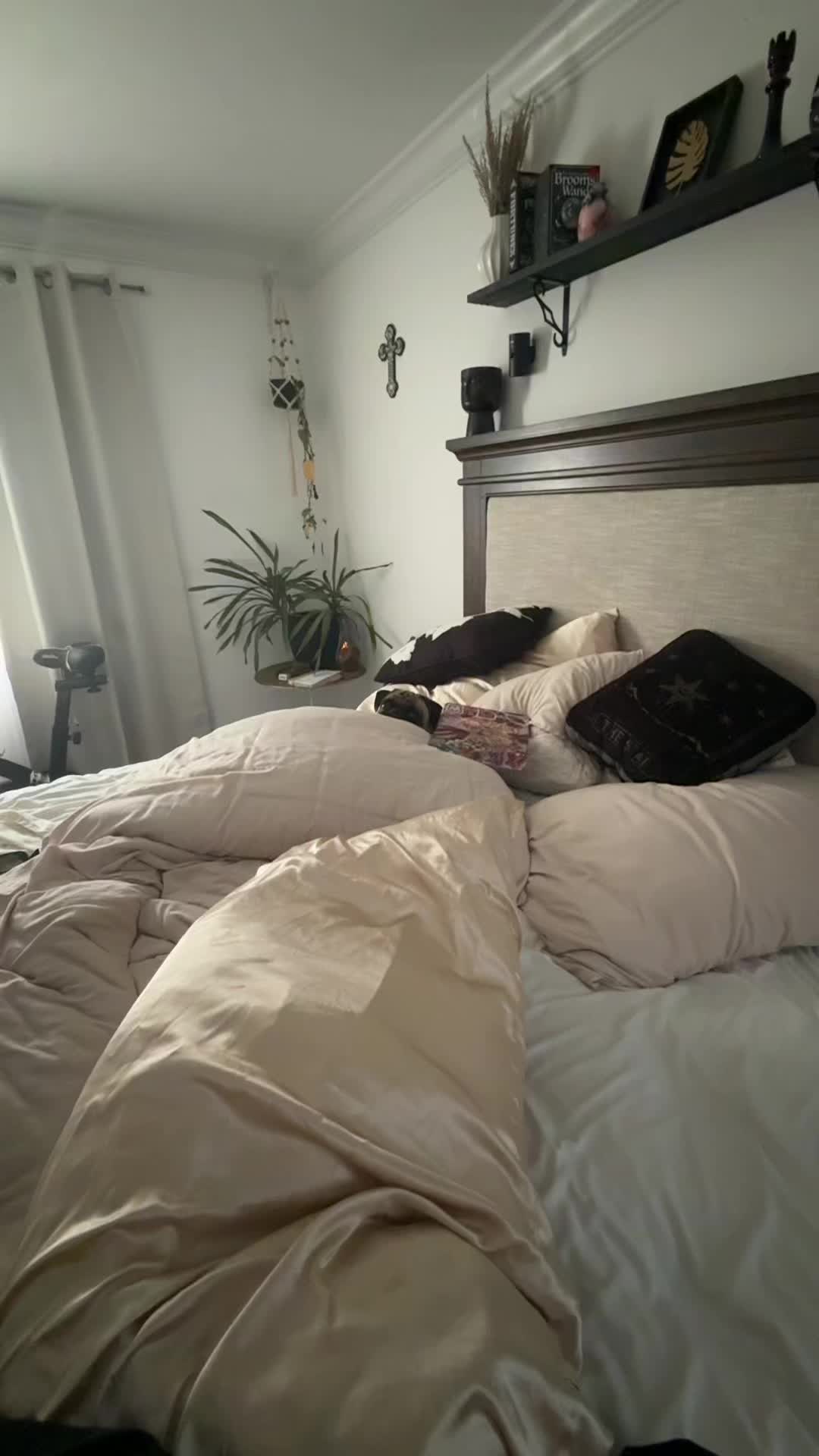 @Marisol