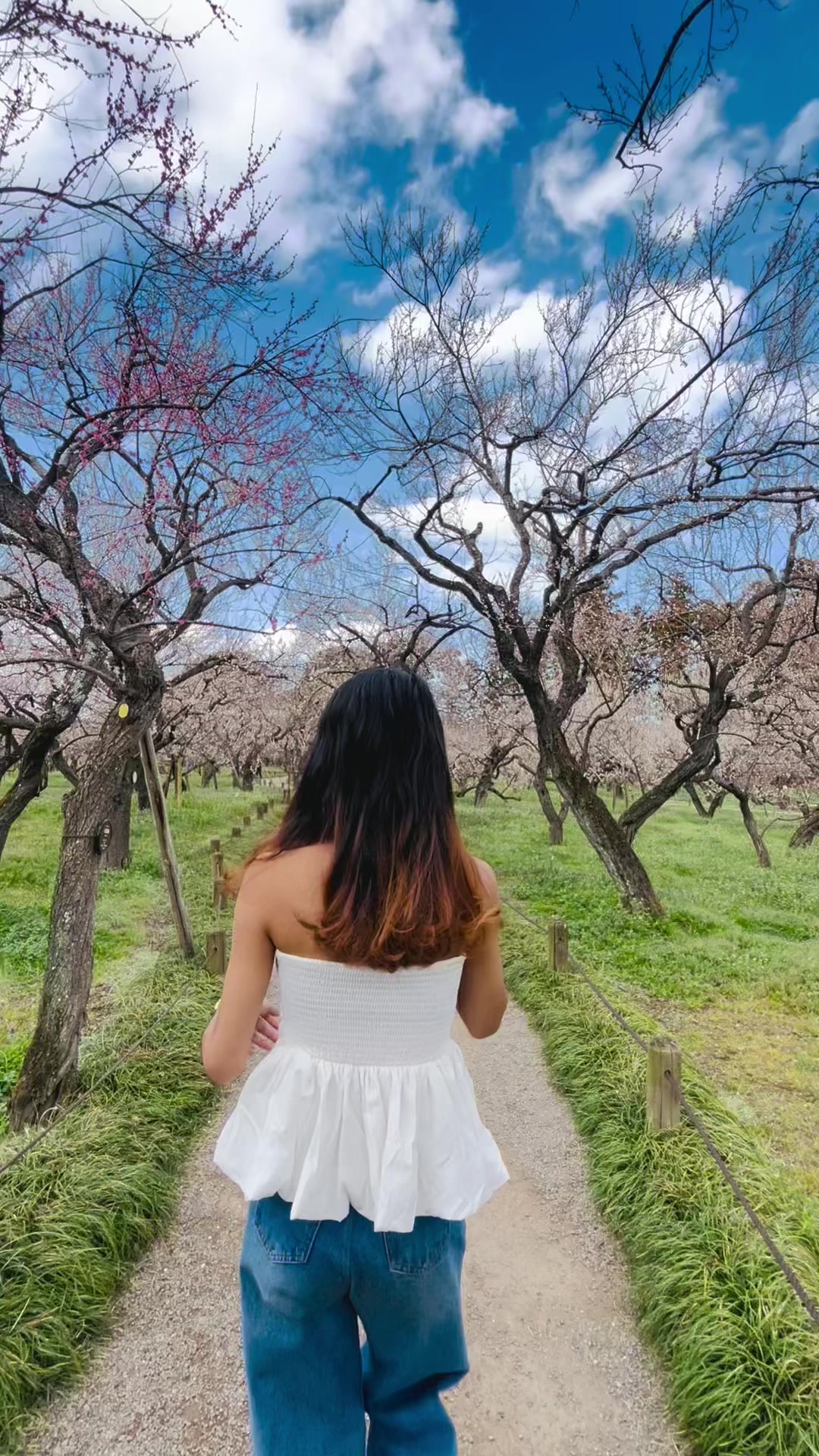 @Thelifeofdipa 🎀 🧿