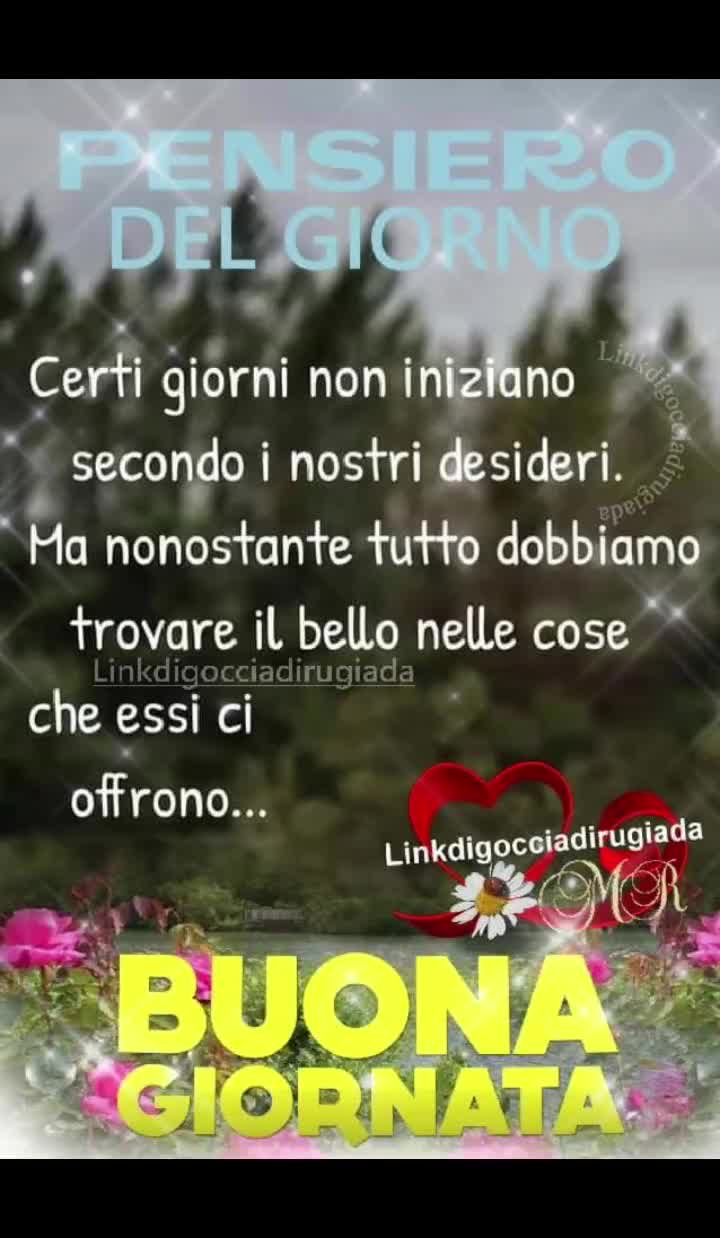@dino