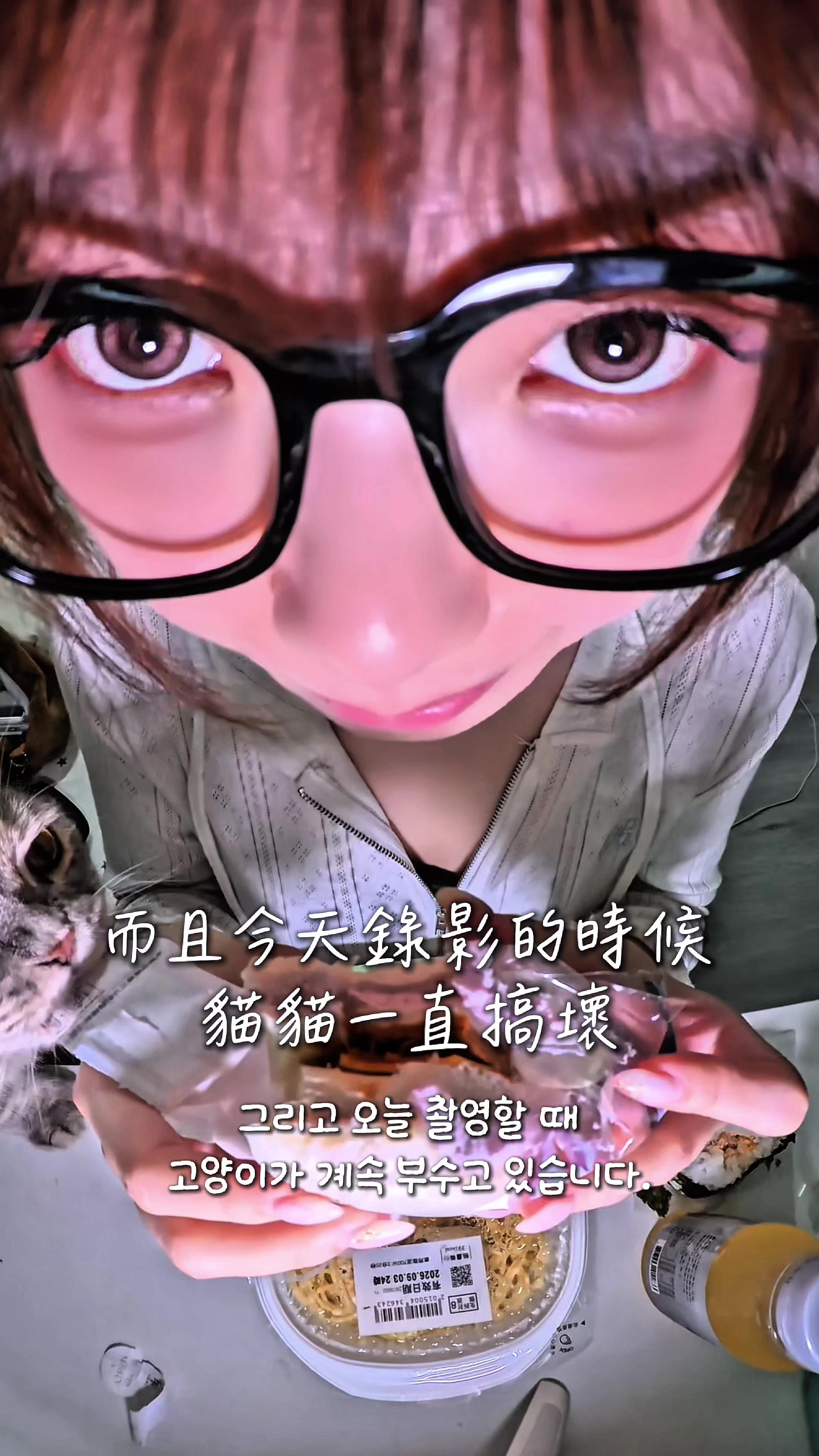 @倉鼠吃播🐹
