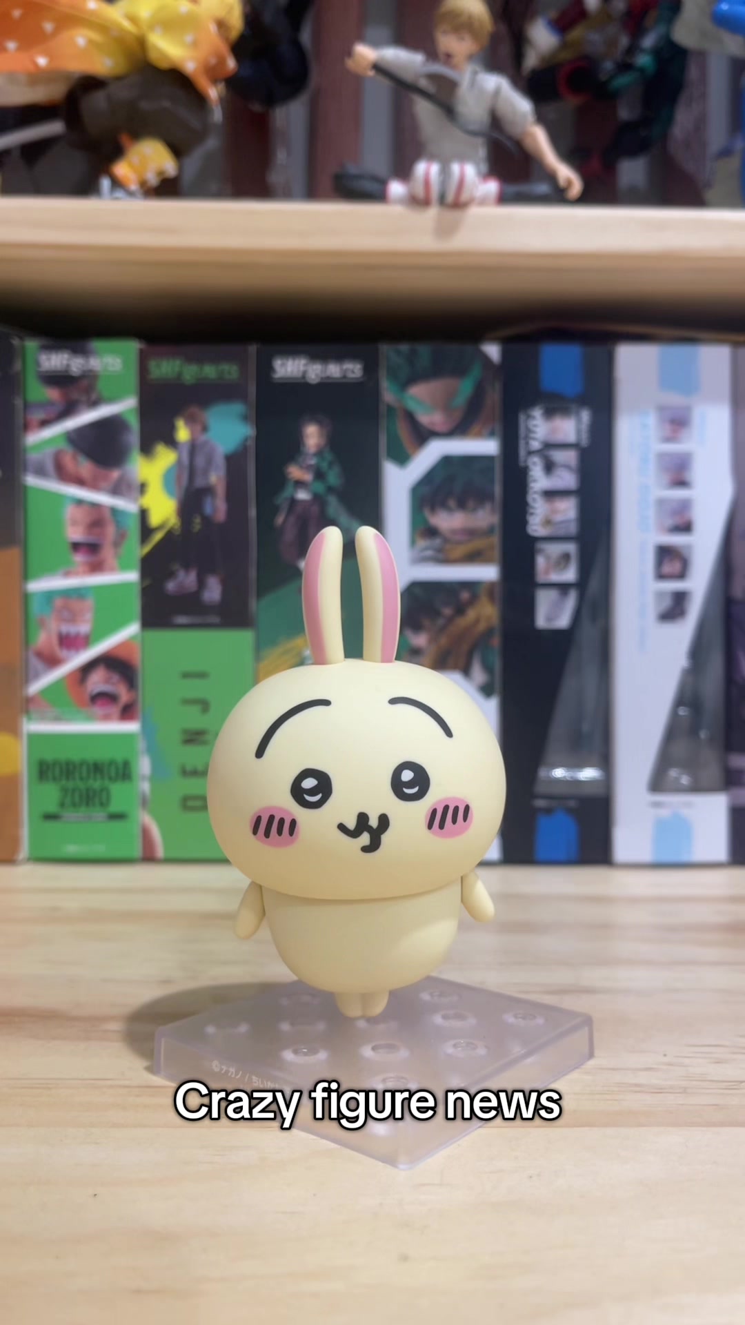 @USAGI figures