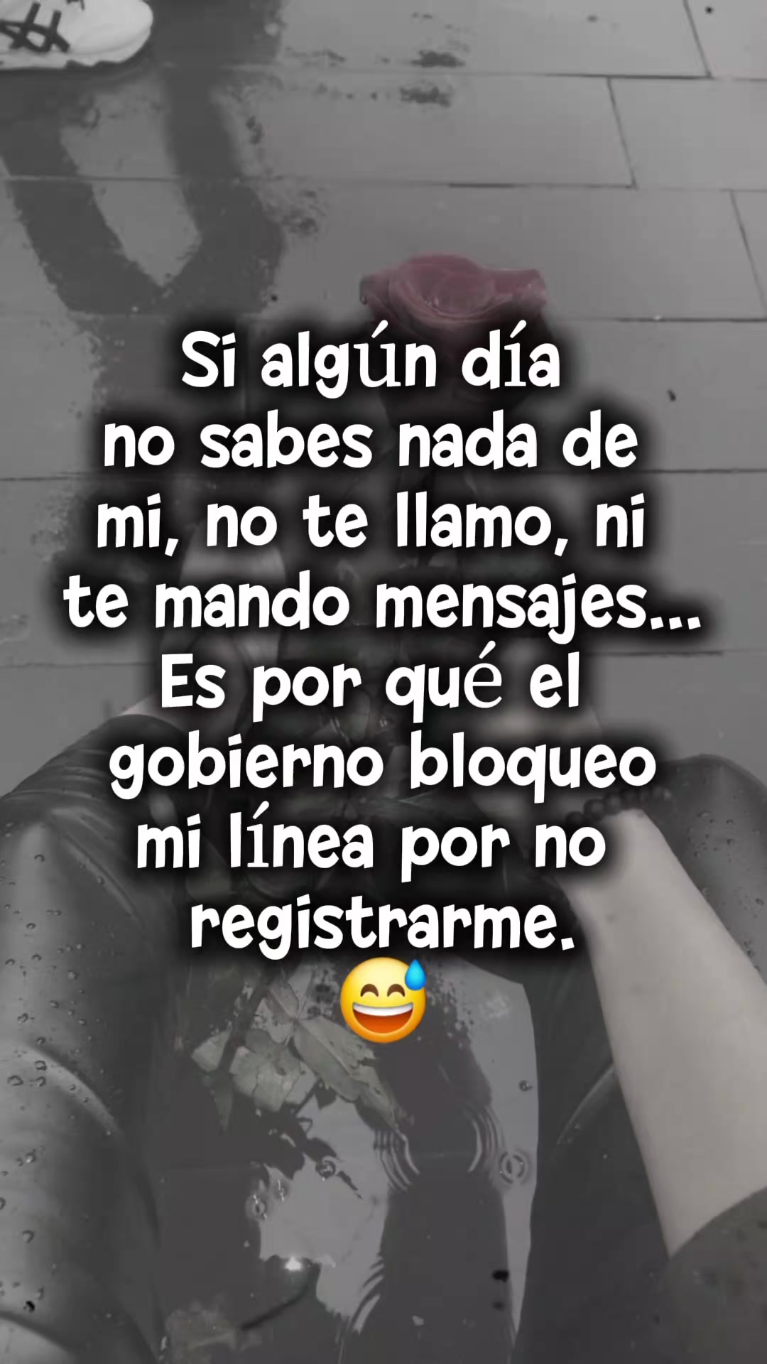 @Ammer Vicario Alaric