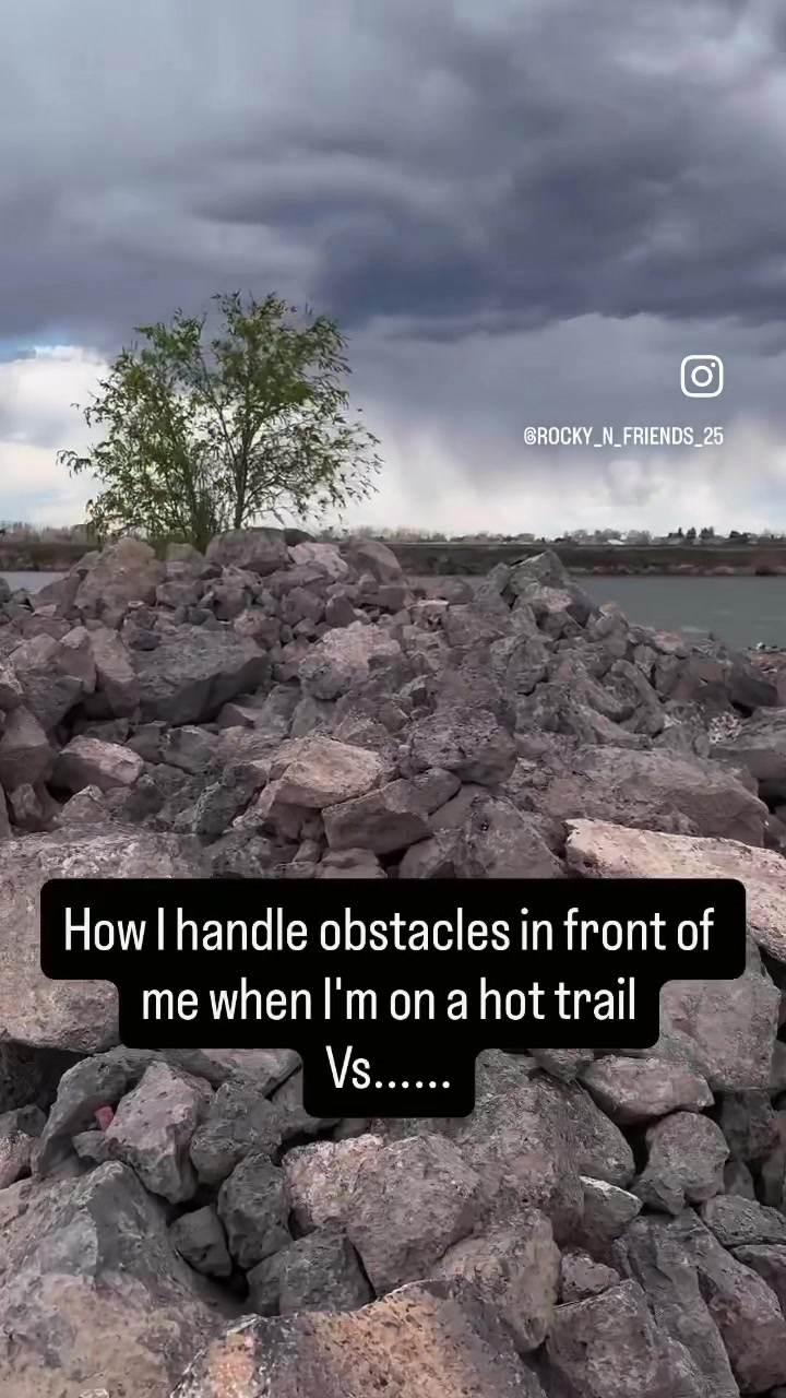 @rocky_n_friends25