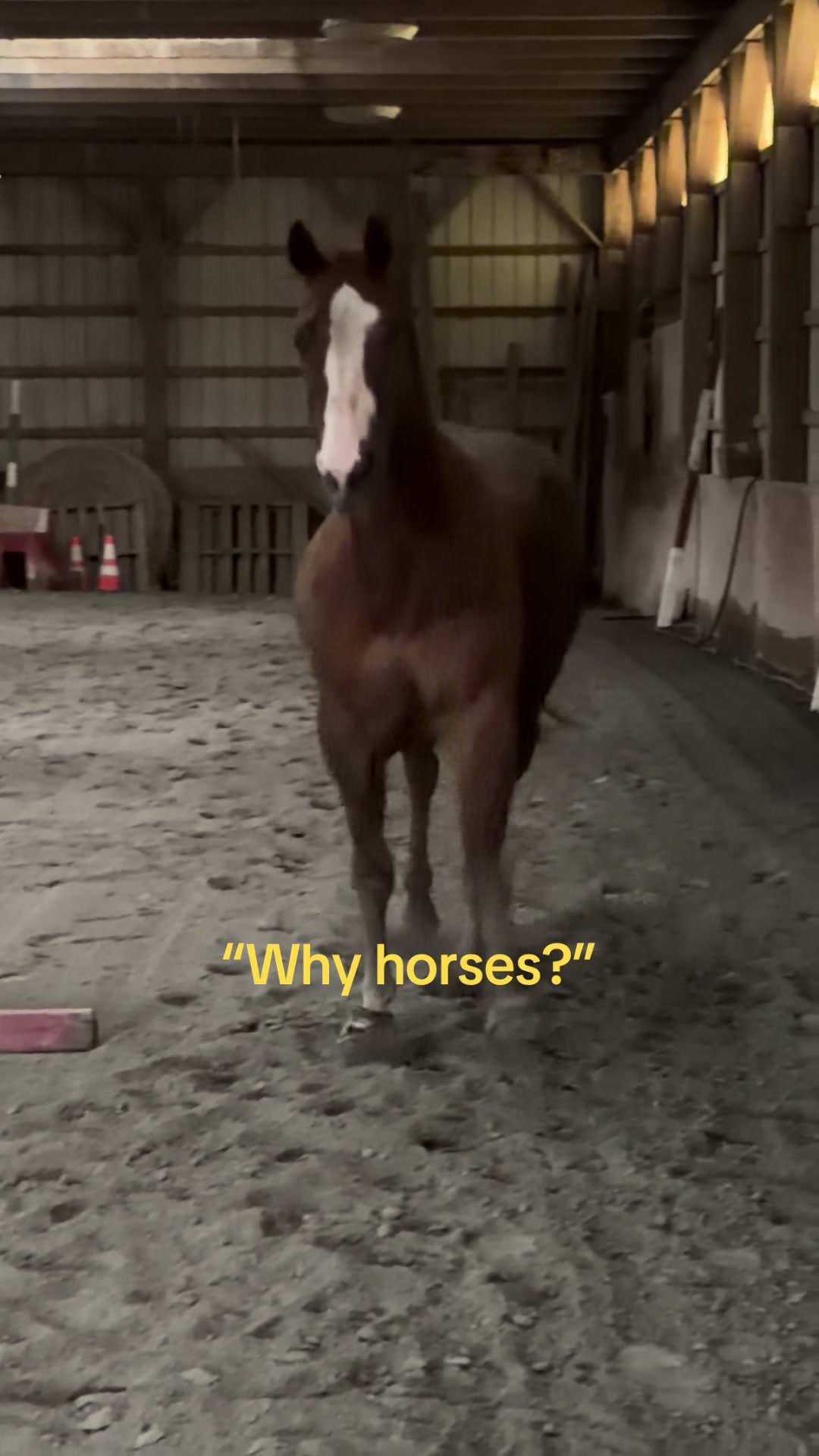 @𝔻𝔸𝕀𝕊𝕐