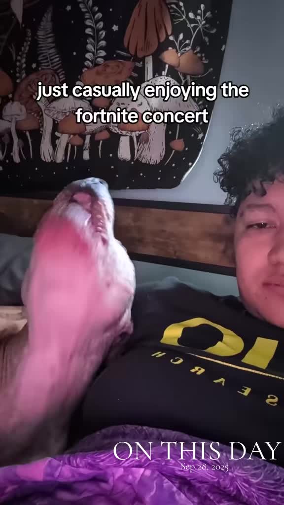 @Alexswaggzillaa
