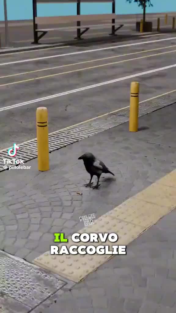 @Nunzio Caridi