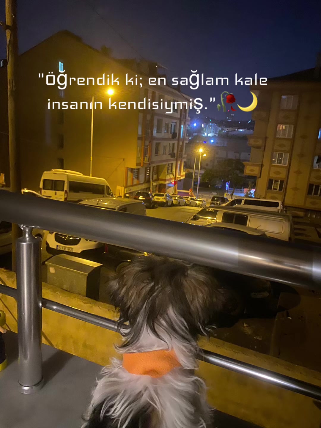 @sinem 🧚🏼♀️