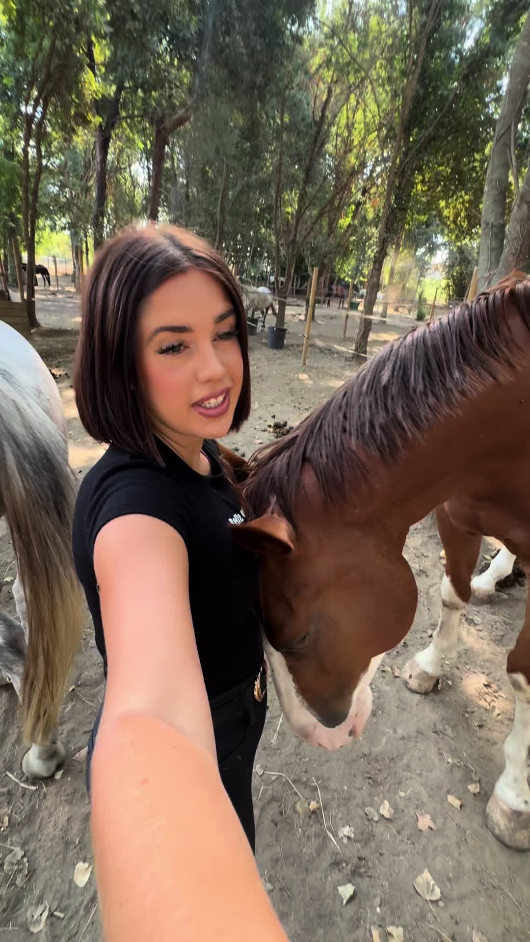 @redolfi_lou