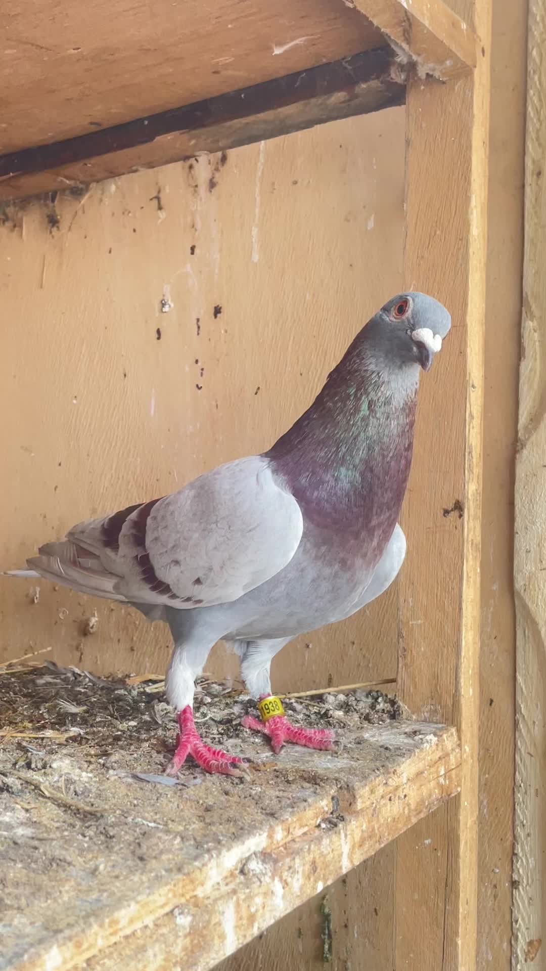 @OMZOLOFT🕊🦜🇸🇳