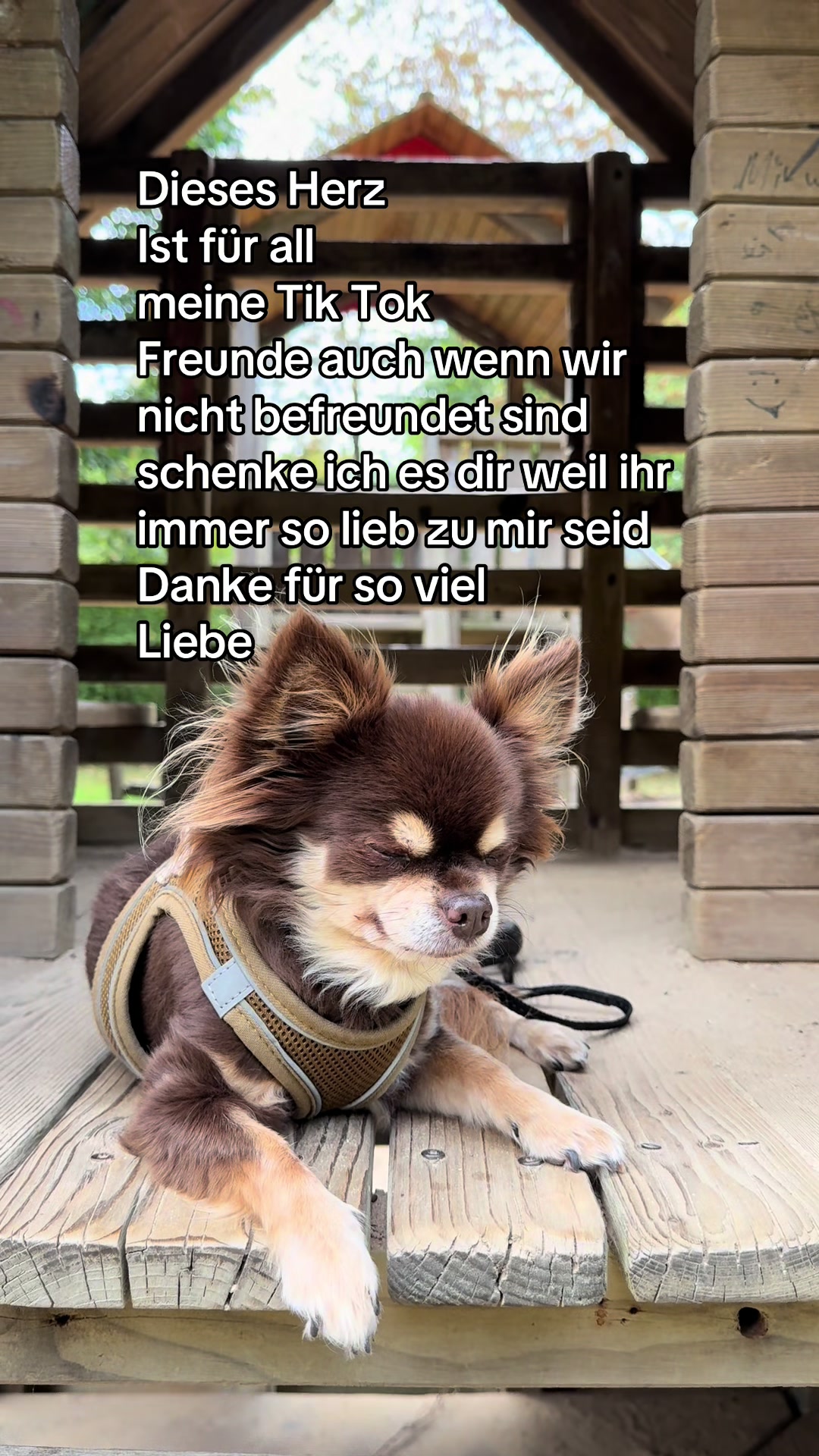 @True_smile_95