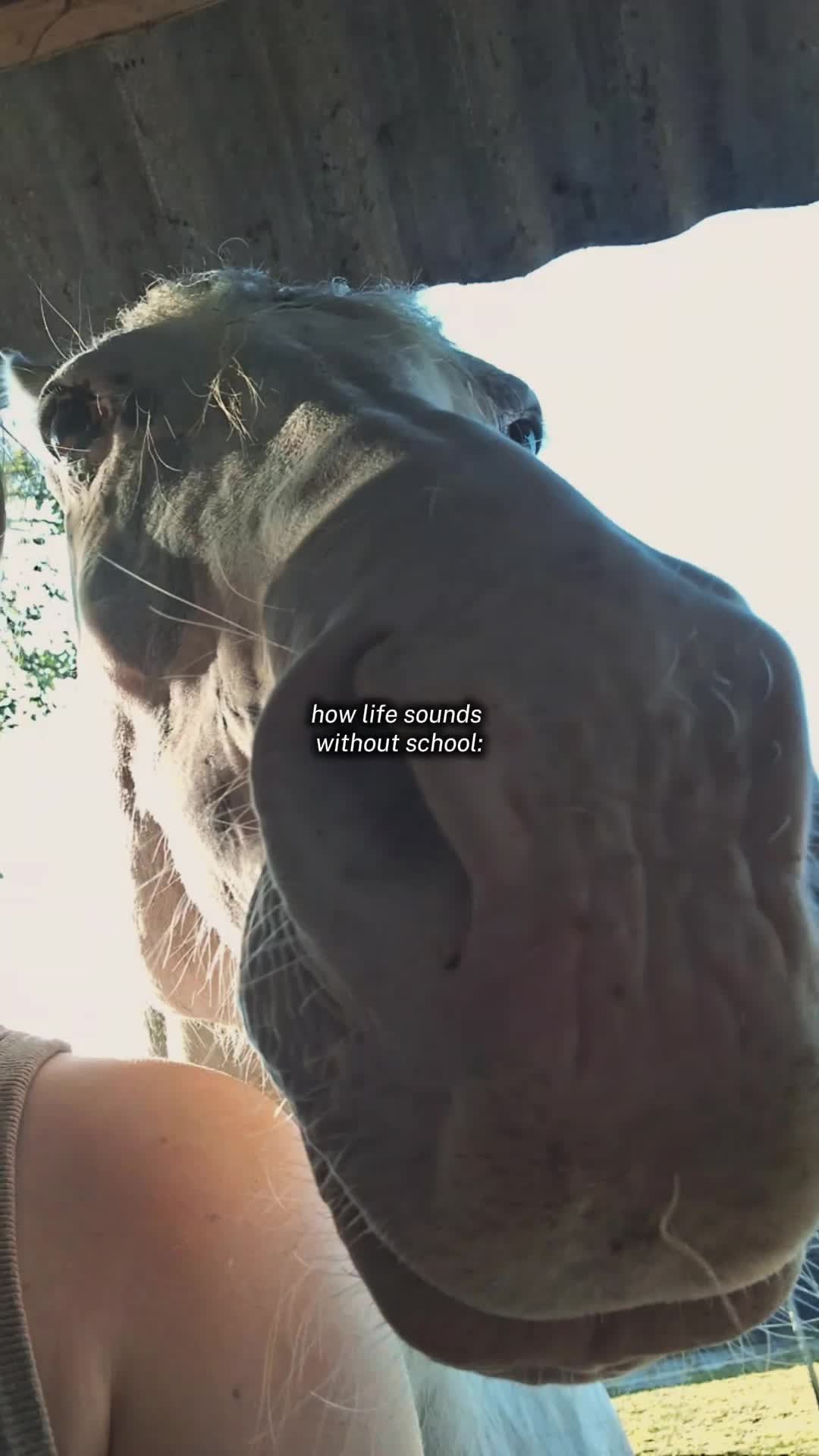 @Tiffany&bandit&bella