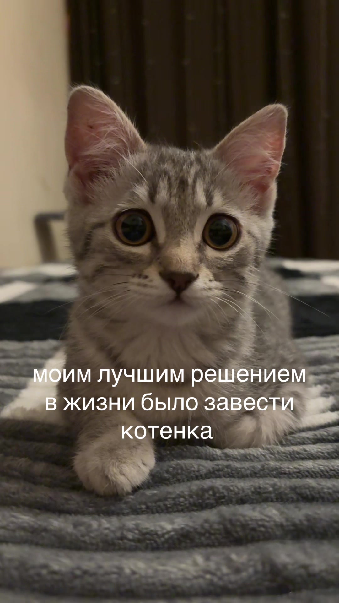 @cu1p