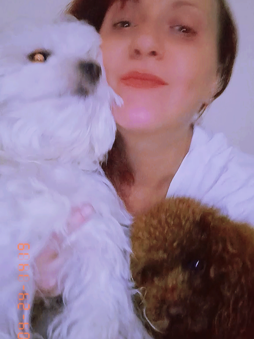 @🥎 דינה מנסור 🦮🐕🐕&zwj;🦺