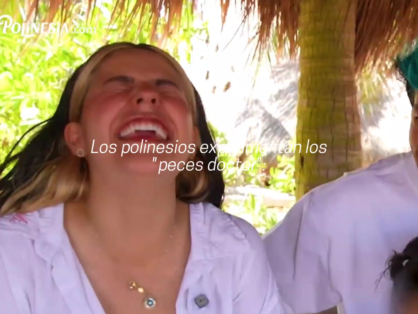 @multifandoms_x8