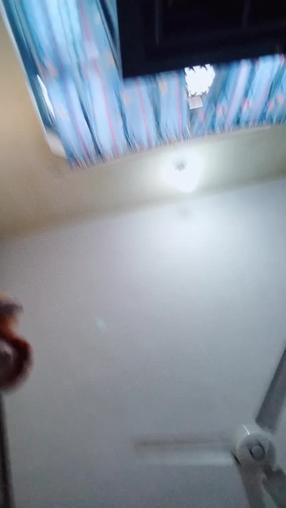 @laxmiruchal33