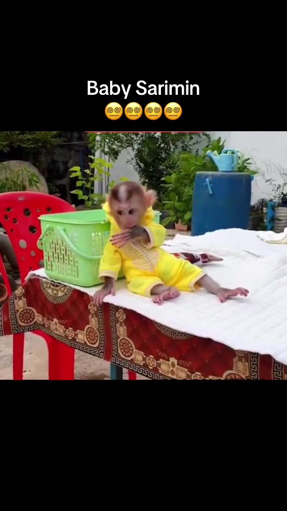 @Monkay Baby