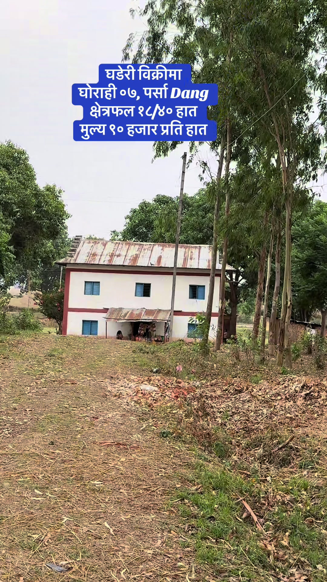 @Gurubaba Real estate Dang