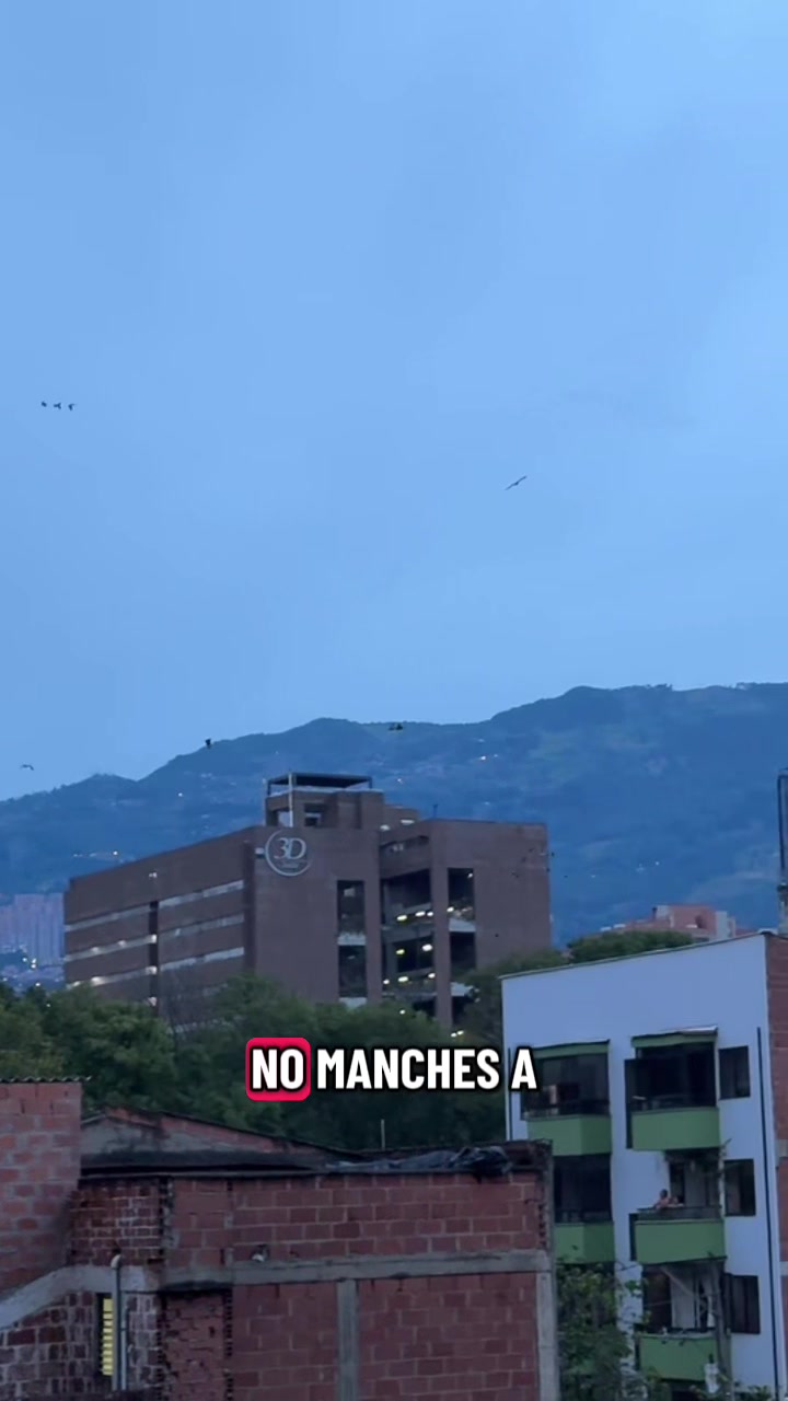 @Mamuchis