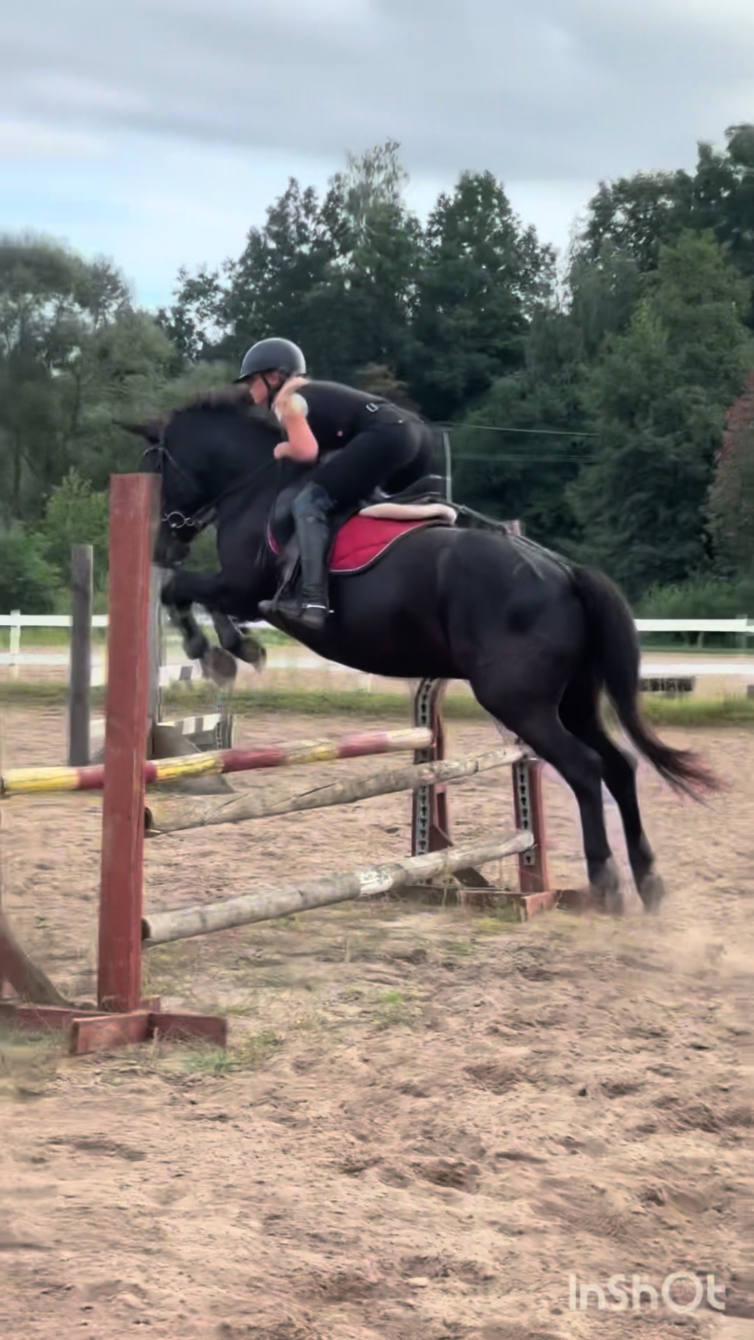@💋🐴