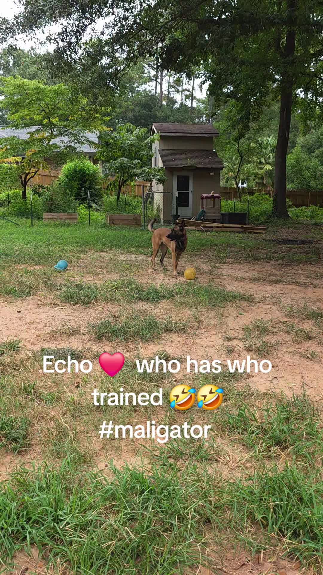 @Echo!
