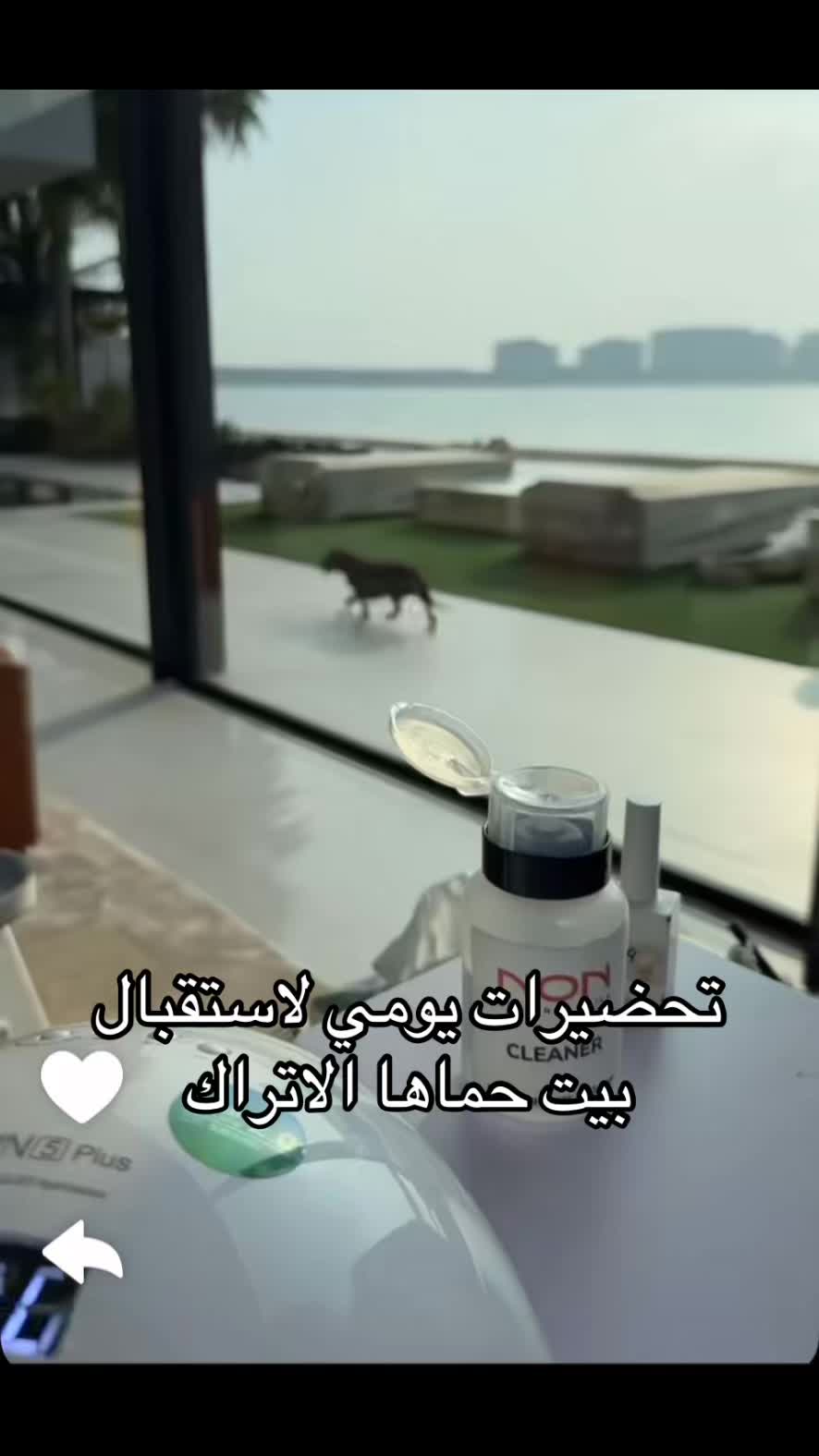 @🥥 الـسـرّ 🥥