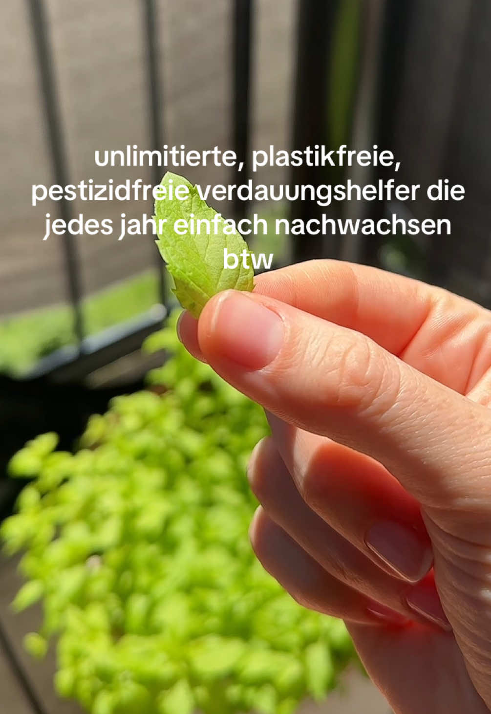 @R steht f&uuml;r Real