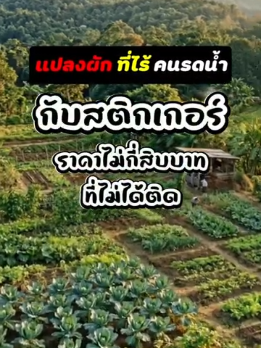 @สวท.ยโสธร