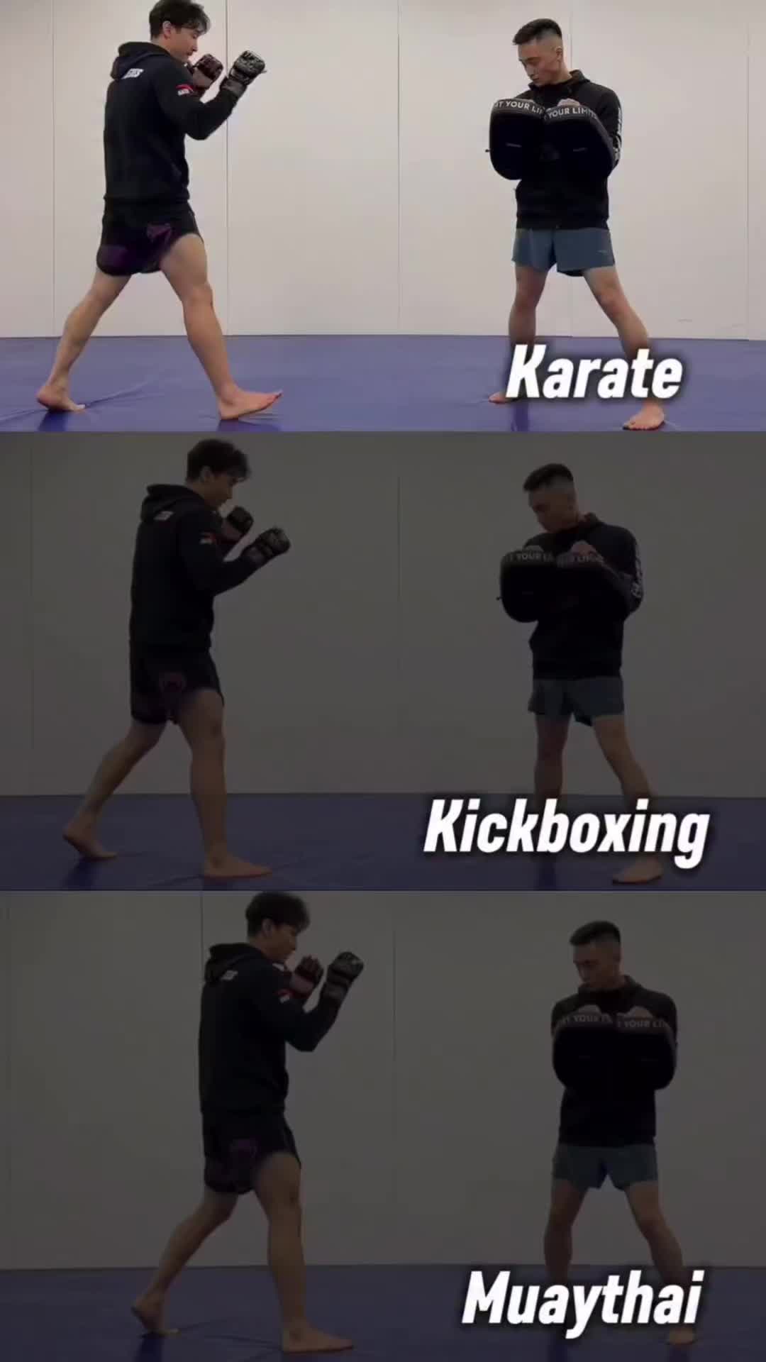 @fightpulse