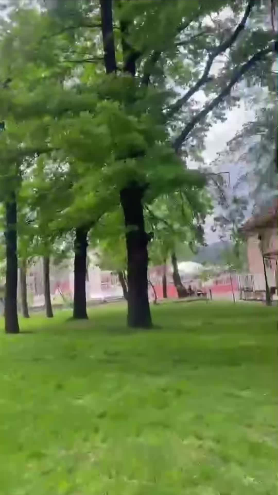 @skorpija66