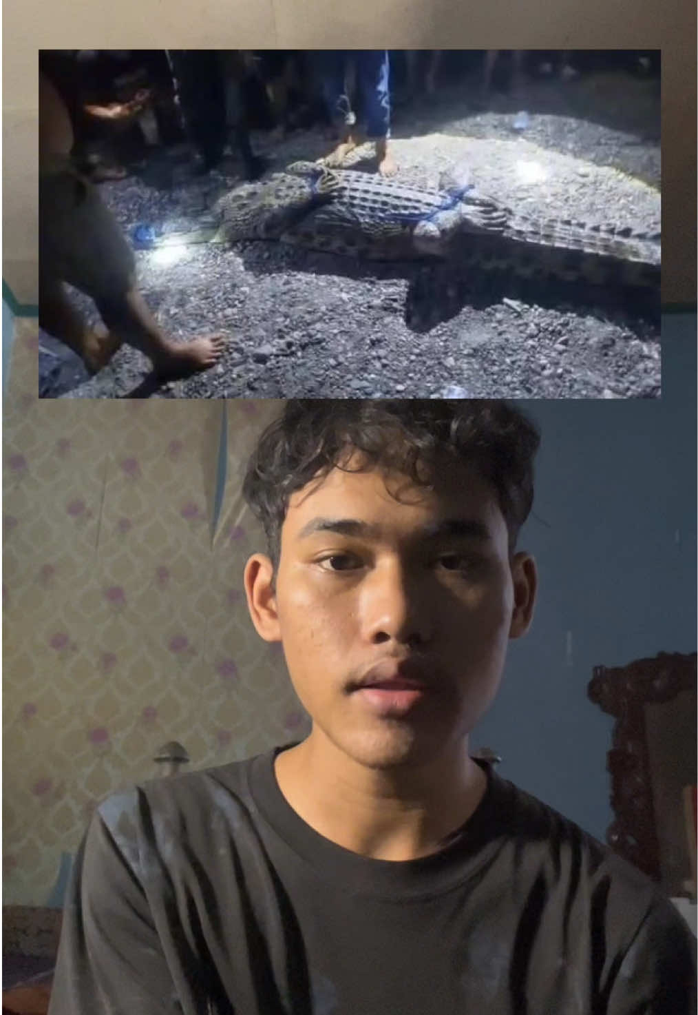 @syakurr