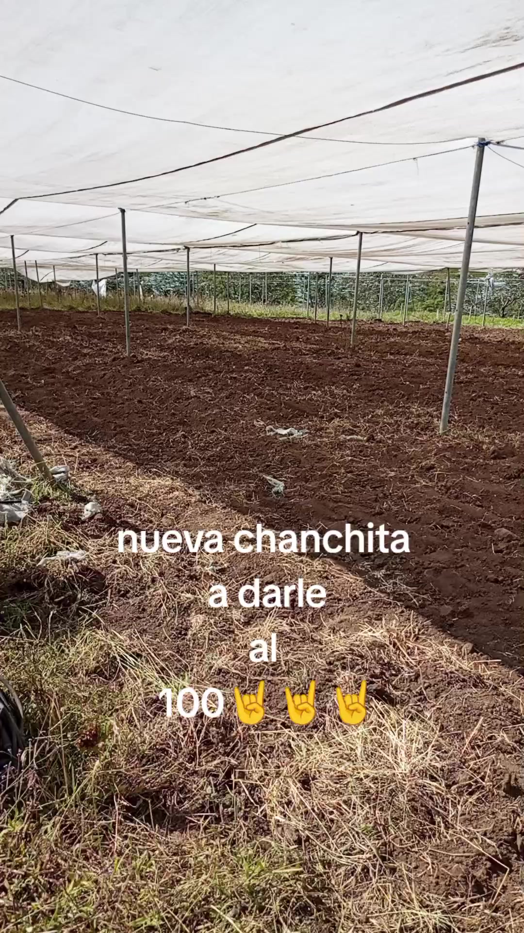 @MAURICIO BLACK METAL 🤘666🤘