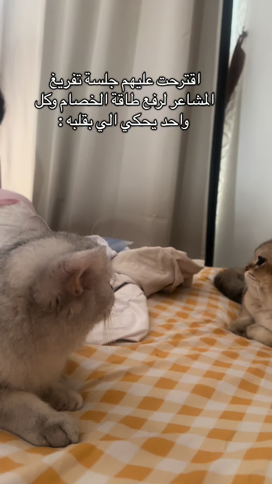 @الديموزيل ✨