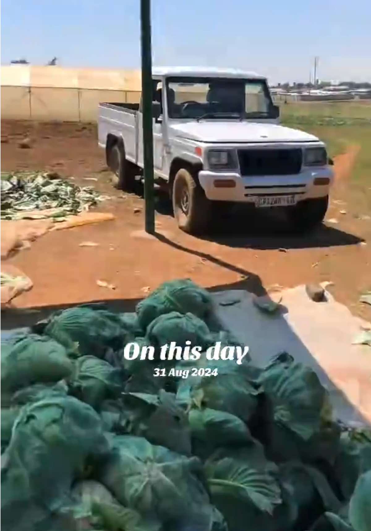@Ms Kgomotso 🇿🇦 She Farms