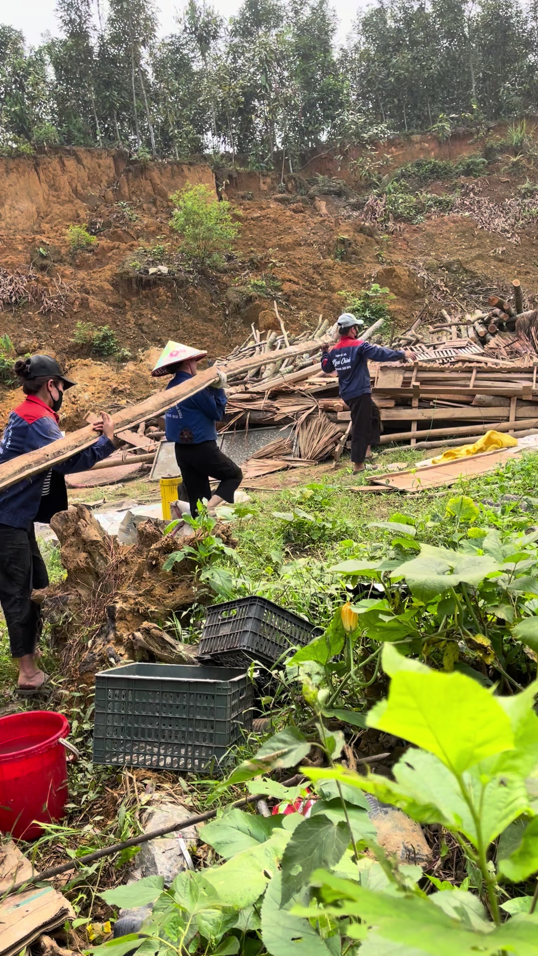 @Ngọc Chinh Miền N&uacute;i