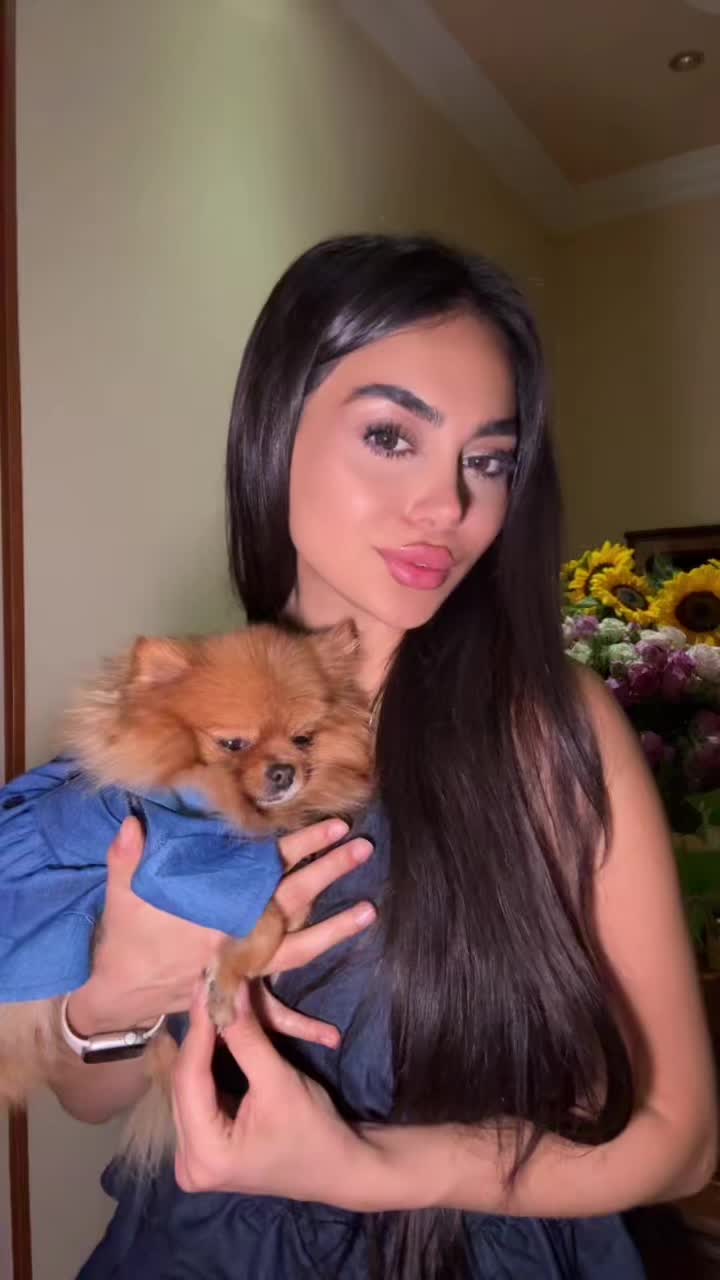 @siroonbysir