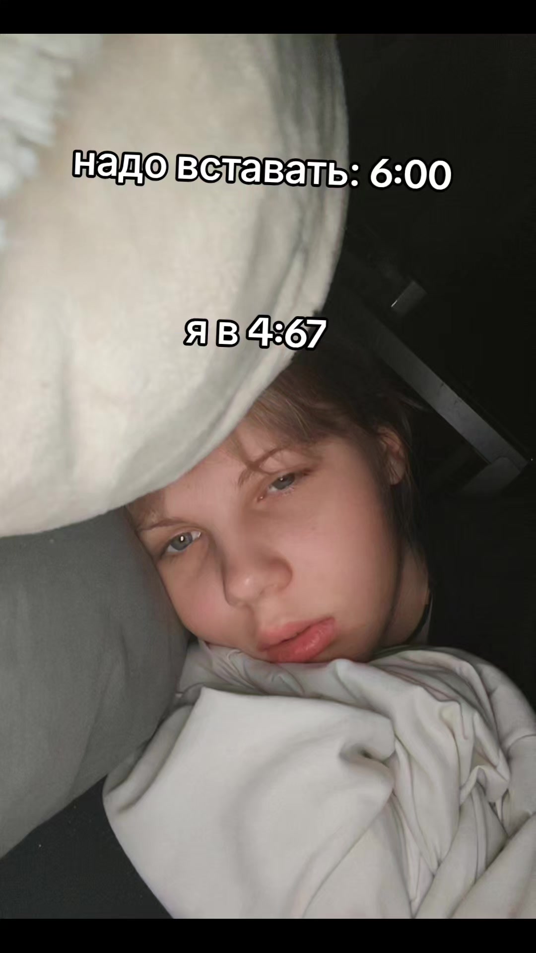 @seikou_nya