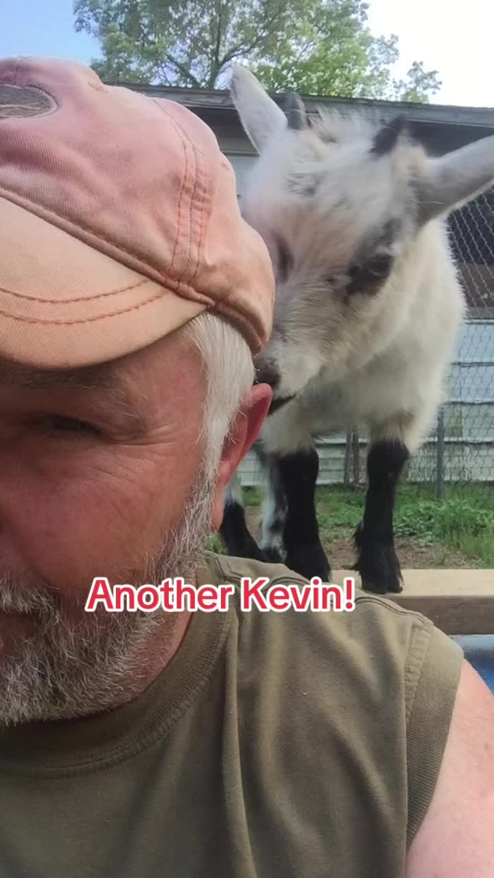 @MrAnimalRescuer