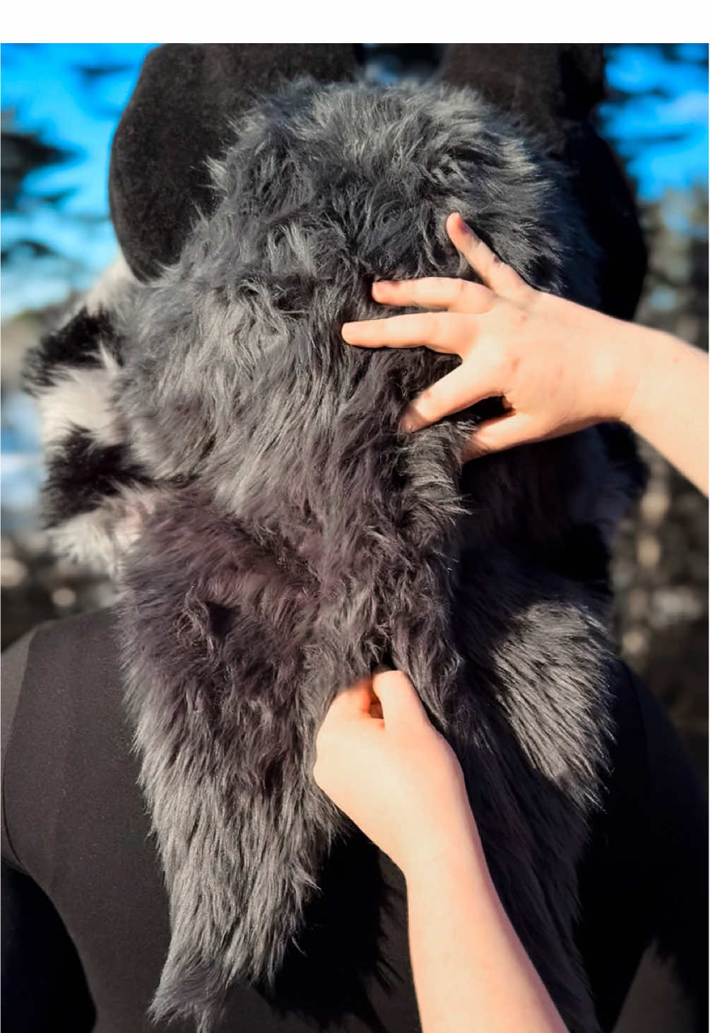 @FruitbatFursuits > ANW